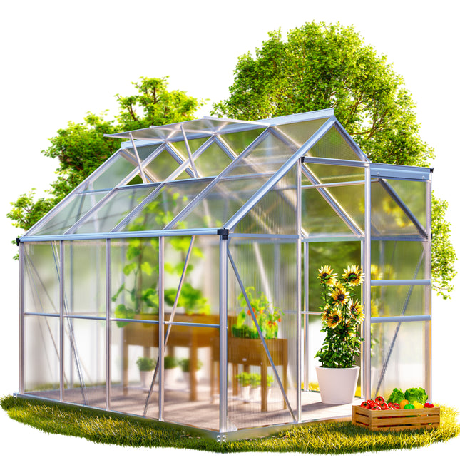 Aluminium greenhouse 250x190x195cm with foundation