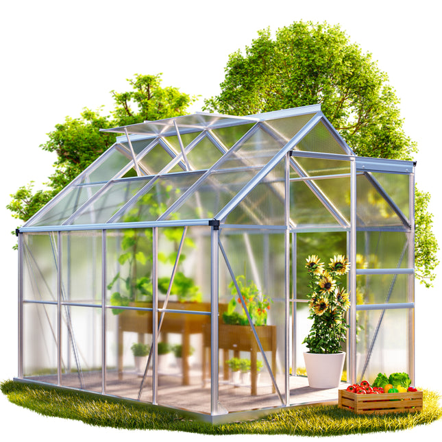 Aluminium greenhouse 250x190x195cm 2 skylights