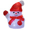 LED Christmas Figure Acryl Snowman